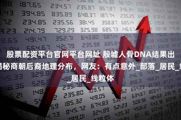 股票配资平台官网平台网址 殷墟人骨DNA结果出炉，揭秘商朝后裔地理分布，网友：有点意外_部落_居民_线粒体