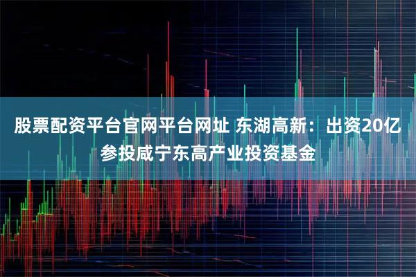 股票配资平台官网平台网址 东湖高新：出资20亿参投咸宁东高产业投资基金
